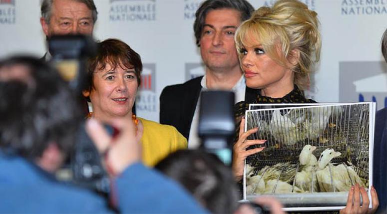 Pamela Anderson'dan Fransa'ya 'kaz ciğeri' tepkisi