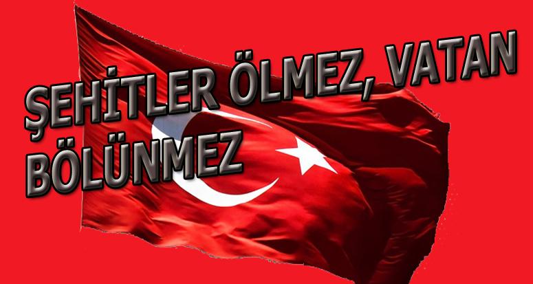Üsteğmen Enes Demir Sur’da şehit oldu