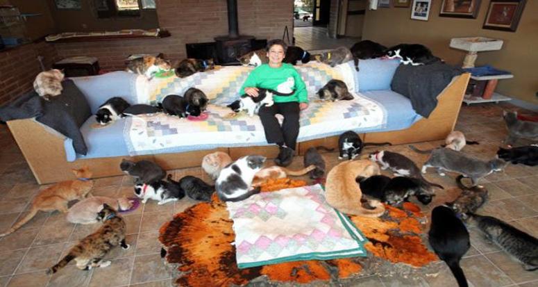 "Hayvansever" kadına "kedilere eziyet"ten para cezası