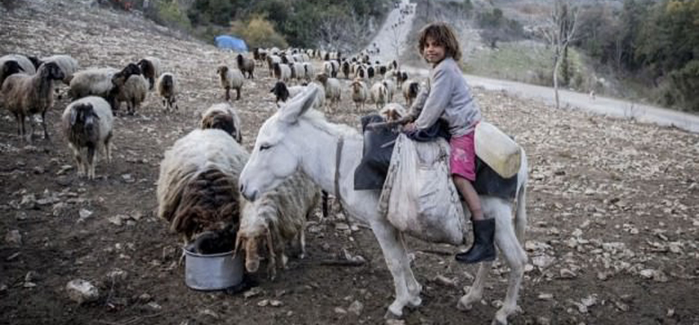 Yeni bir Türkmen ve Arap sığınmacı akını!