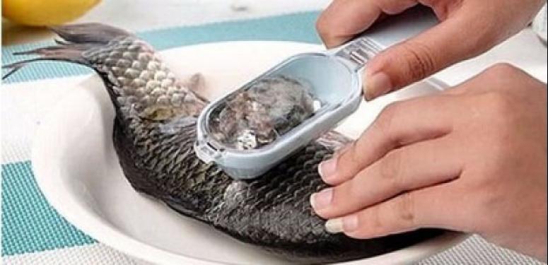 Balık pulunun inanılmaz faydaları