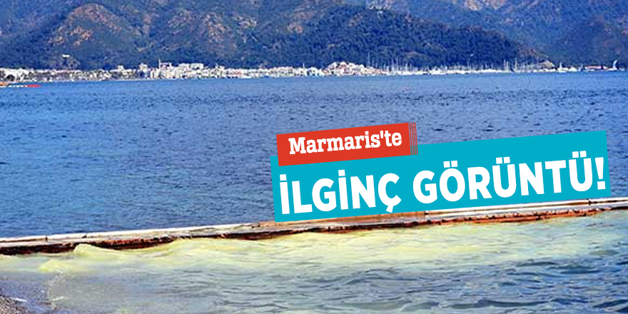 Marmaris'te deniz sarıya boyandı!