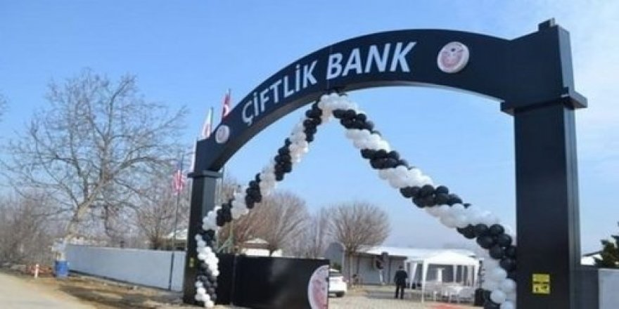 Türkiye'den Çiftlik Bank ile ilgili flaş hamle!