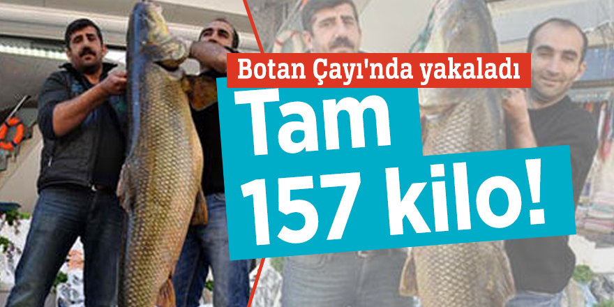 Botan Çayı'nda yakalandı! Tam 157 kilo...