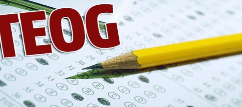 TEOG sonuçları açıklandı!