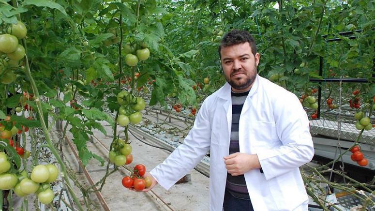 Sebzeler 'bilgisayar' ile üretiliyor