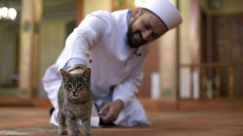 Hayvansever imam dünya basınına düştü