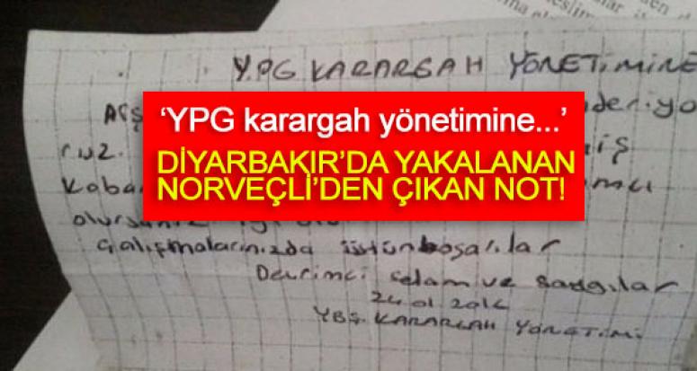 Diyarbakır’da yakalanan Norveçli'den çıkan nota bakın!