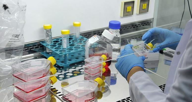 İlaçta molekül üretimine Türk imzası