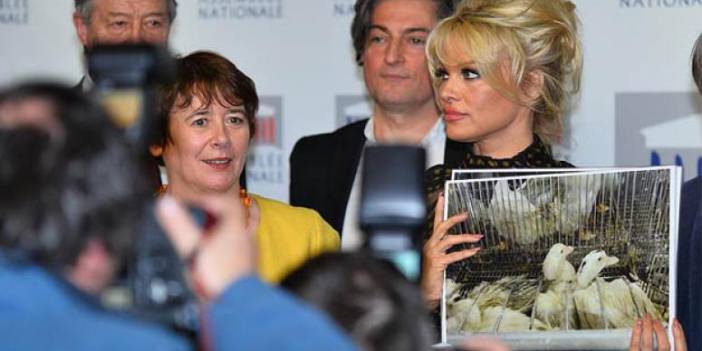 Pamela Anderson'dan Fransa'ya 'kaz ciğeri' tepkisi