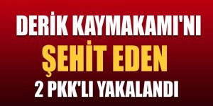 Kaymakamı şehit eden 2 PKK'lı yakalandı