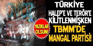 Türkiye Halep'e ve teröre kilitlenmişken TBMM'de mangal partisi