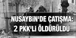 2 üst düzey PKK'lı öldürüldü!