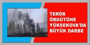 Terör örgütüne PKK'ya Yüksekova'da büyük darbe