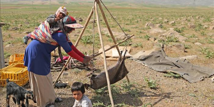 Kaşkay Türklerinin asırlardır sürdürdükleri gelenek 'yaylaya göç' başladı
