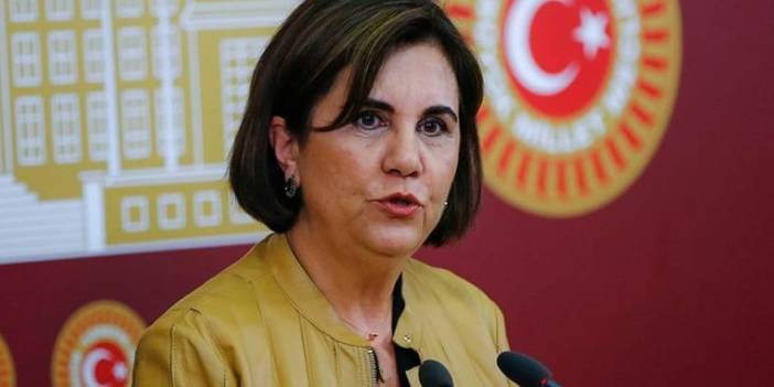 CHP PM Üyesi Gaye Usluer, partisinden istifa etti
