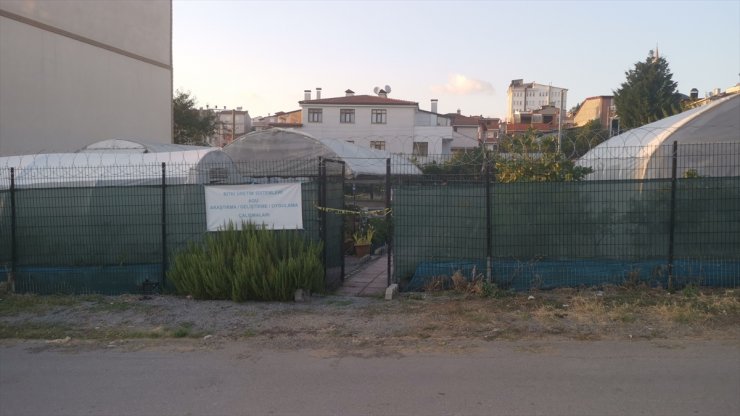 Kocaeli'de Cinayet Zanlısı 2 Kişi Yakalandı